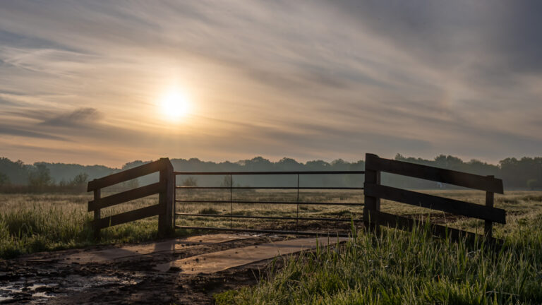 IMG_0015-HDR