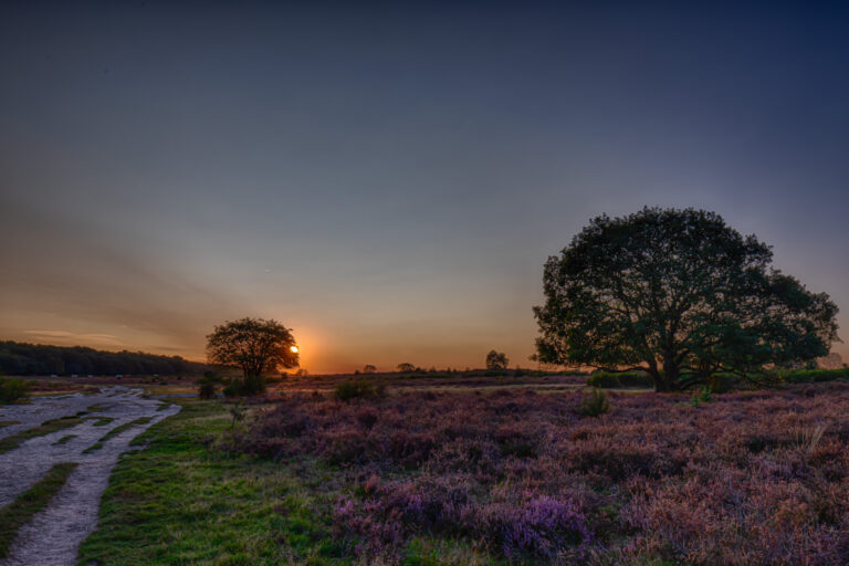 IMG_0609_HDR