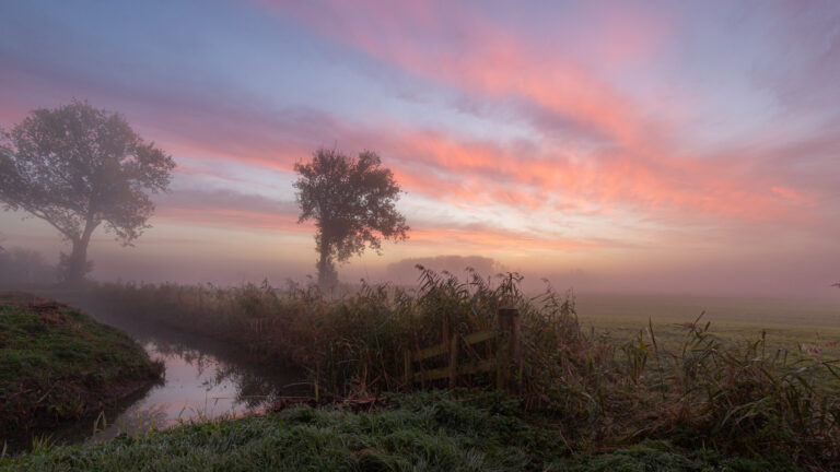 Zonsopkomst bij het Verdronken Bos