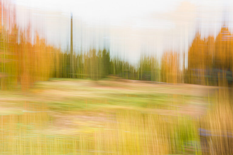 IMG_1161-bewerkt