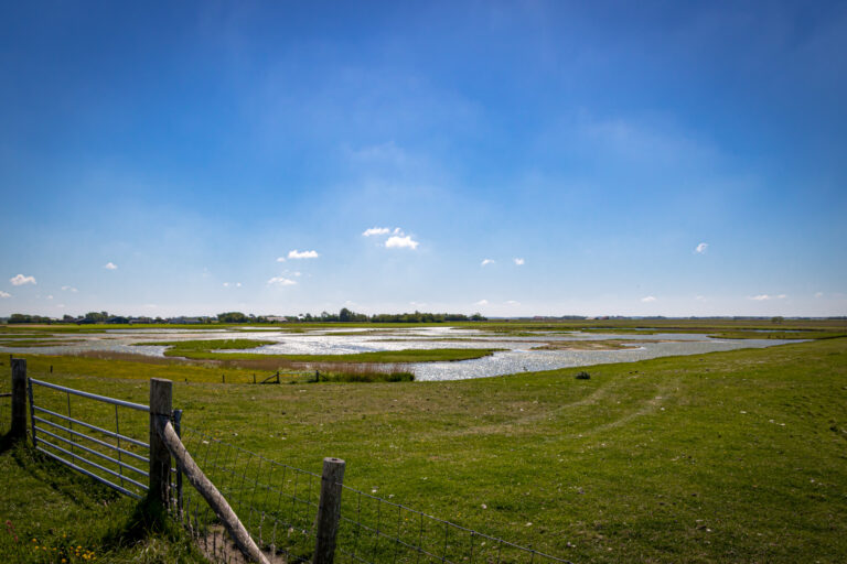 IMG_1339