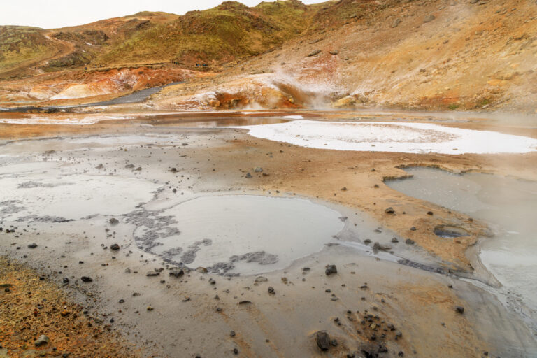 IMG_2822