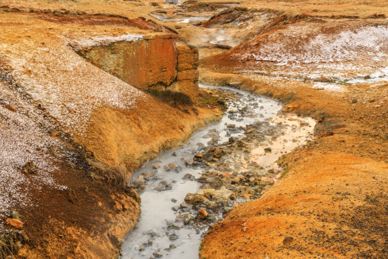 IMG_2826