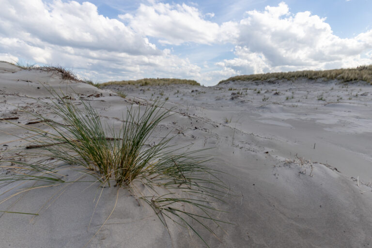 Reisfotografie Ameland: Landschappen, strand en het ultieme eilandgevoel — Focus op Beeld