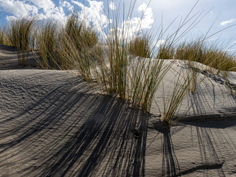 Reisfotografie Ameland: Landschappen, strand en het ultieme eilandgevoel — Focus op Beeld