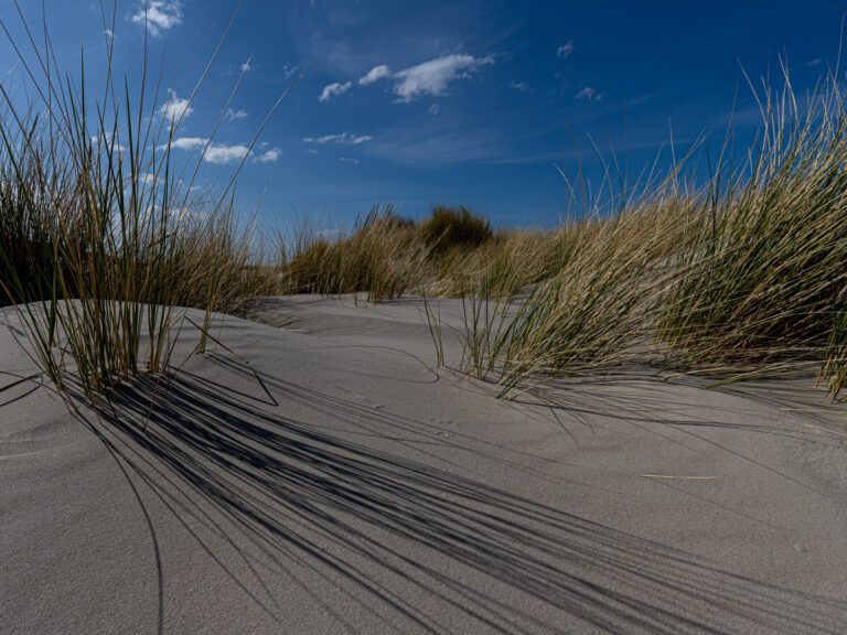 Reisfotografie Ameland: Landschappen, strand en het ultieme eilandgevoel — Focus op Beeld