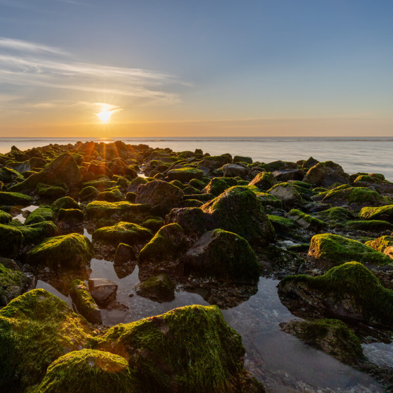 IMG_2931-HDR