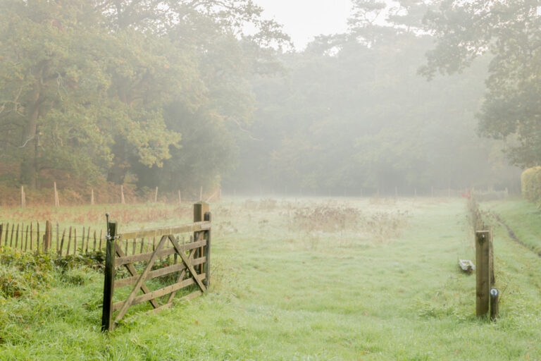 IMG_3041