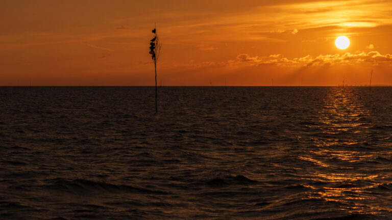 Natuur- en landschapsfotografie van de Waddenzee: Dynamische Hollandse luchten — Focus op Beeld