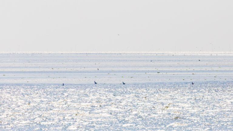 Natuur- en landschapsfotografie van de Waddenzee: Dynamische Hollandse luchten — Focus op Beeld