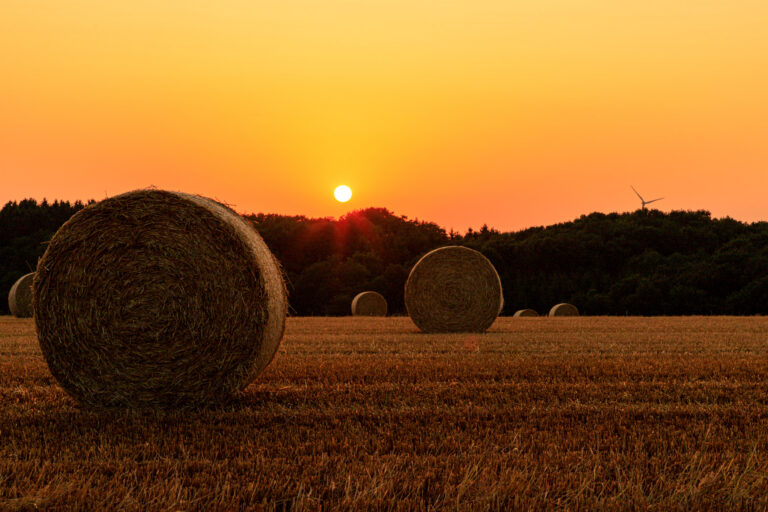 IMG_5154-HDR