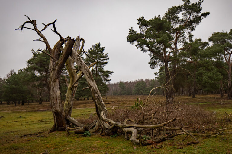 IMG_7336-HDR