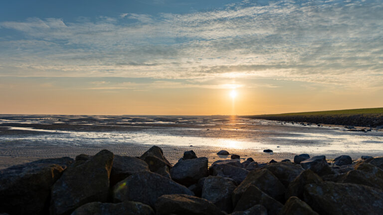 IMG_0478-HDR