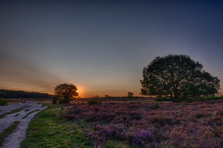 IMG_0609_HDR