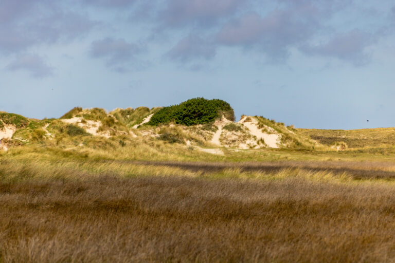 IMG_1365
