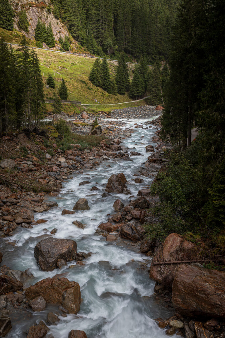 IMG_4420