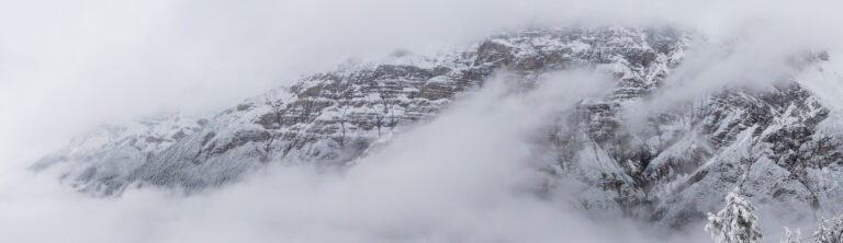 IMG_4689-Pano