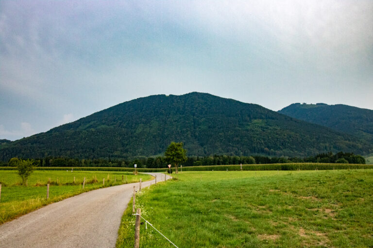 IMG_4897
