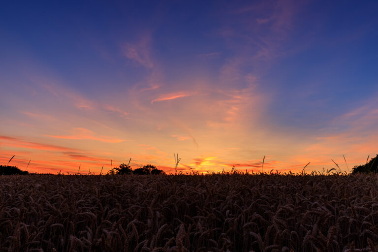 IMG_5075-HDR