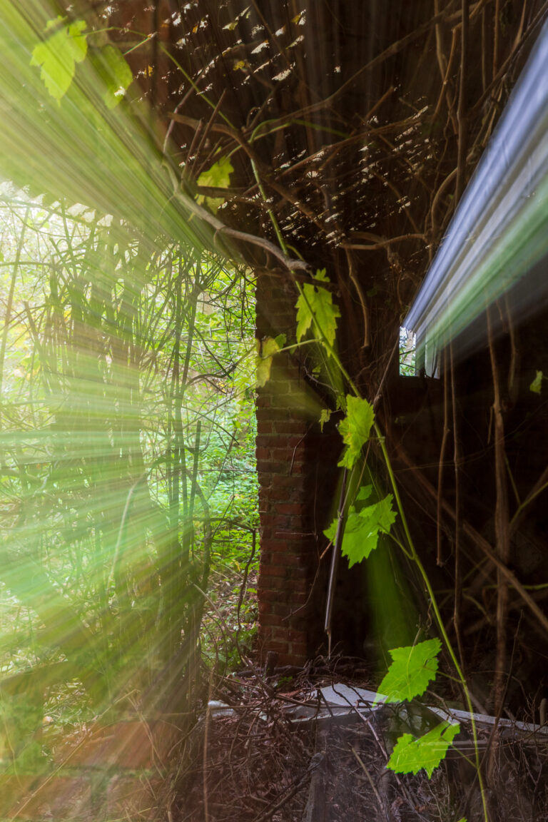 IMG_5256